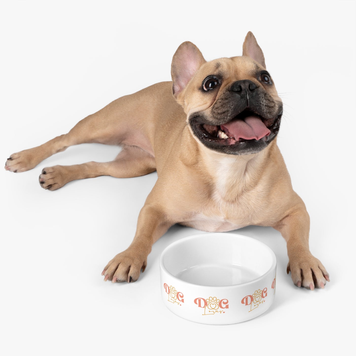 Pet Bowl | Dog Lover