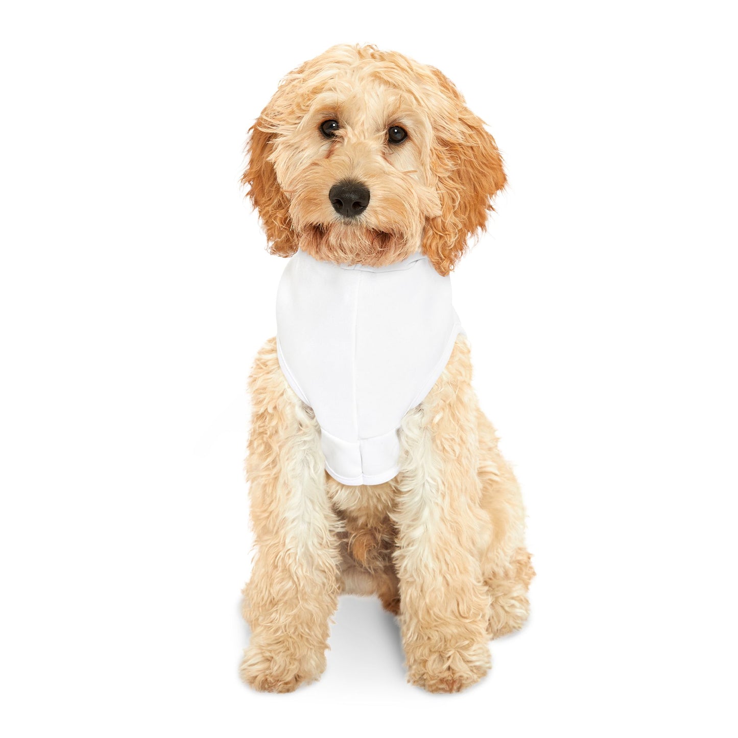 Pet Hoodie | Dogs Make Everything Better