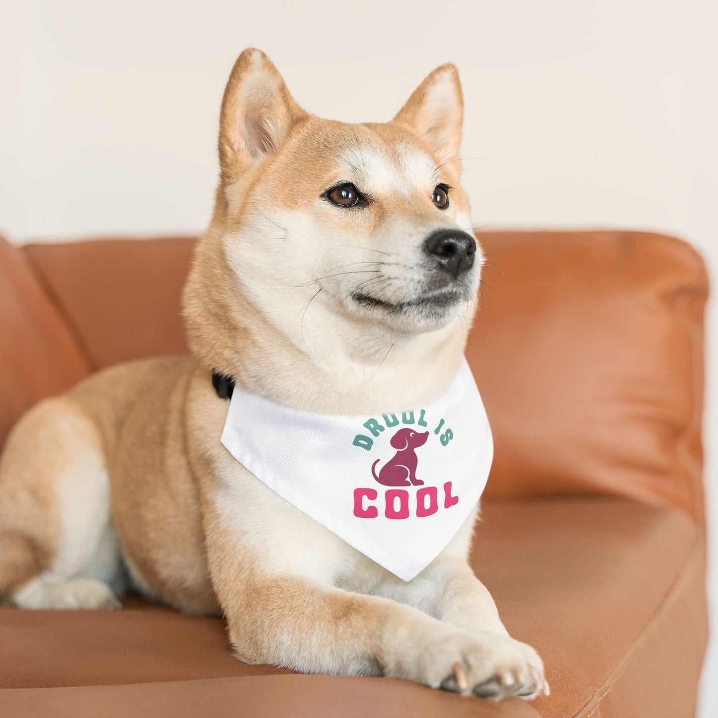 Pet Bandana Collar | Drool Is Cool