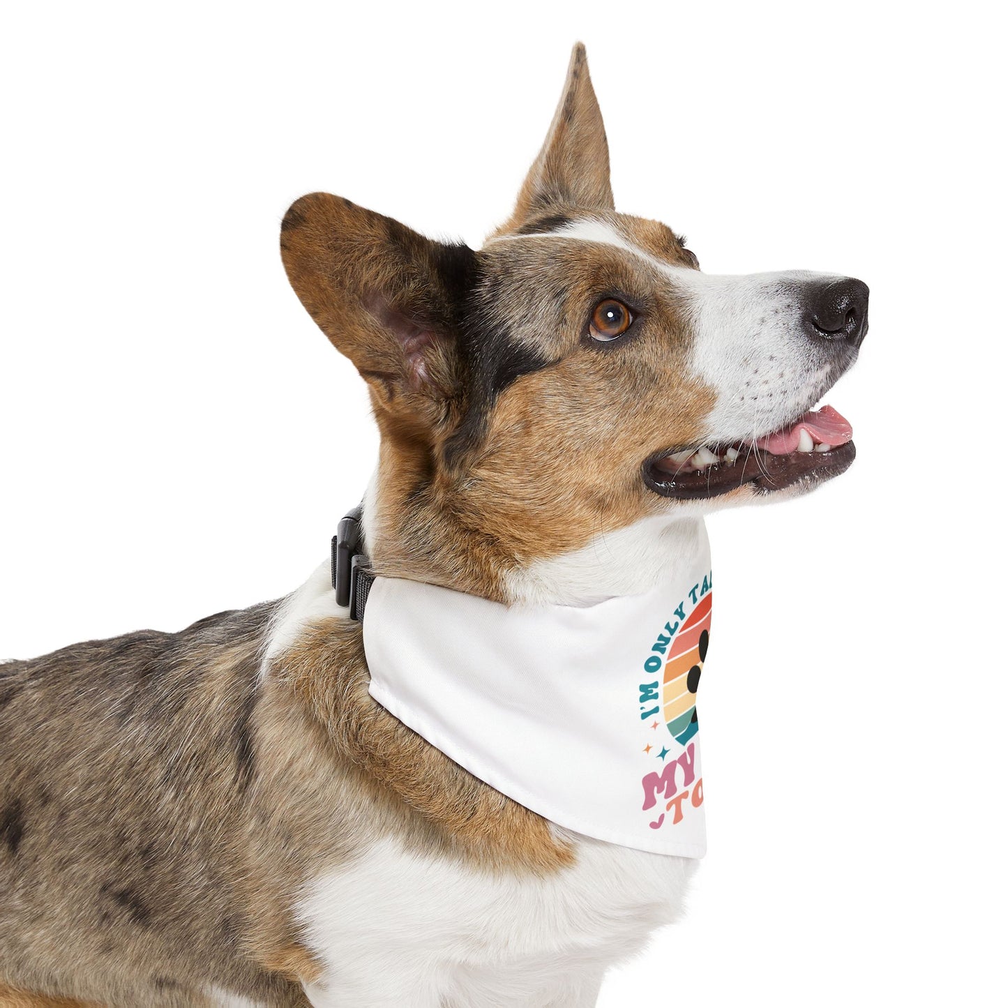 Pet Bandana Collar | I'M ONLY TALKING TO MY DOG TODAY