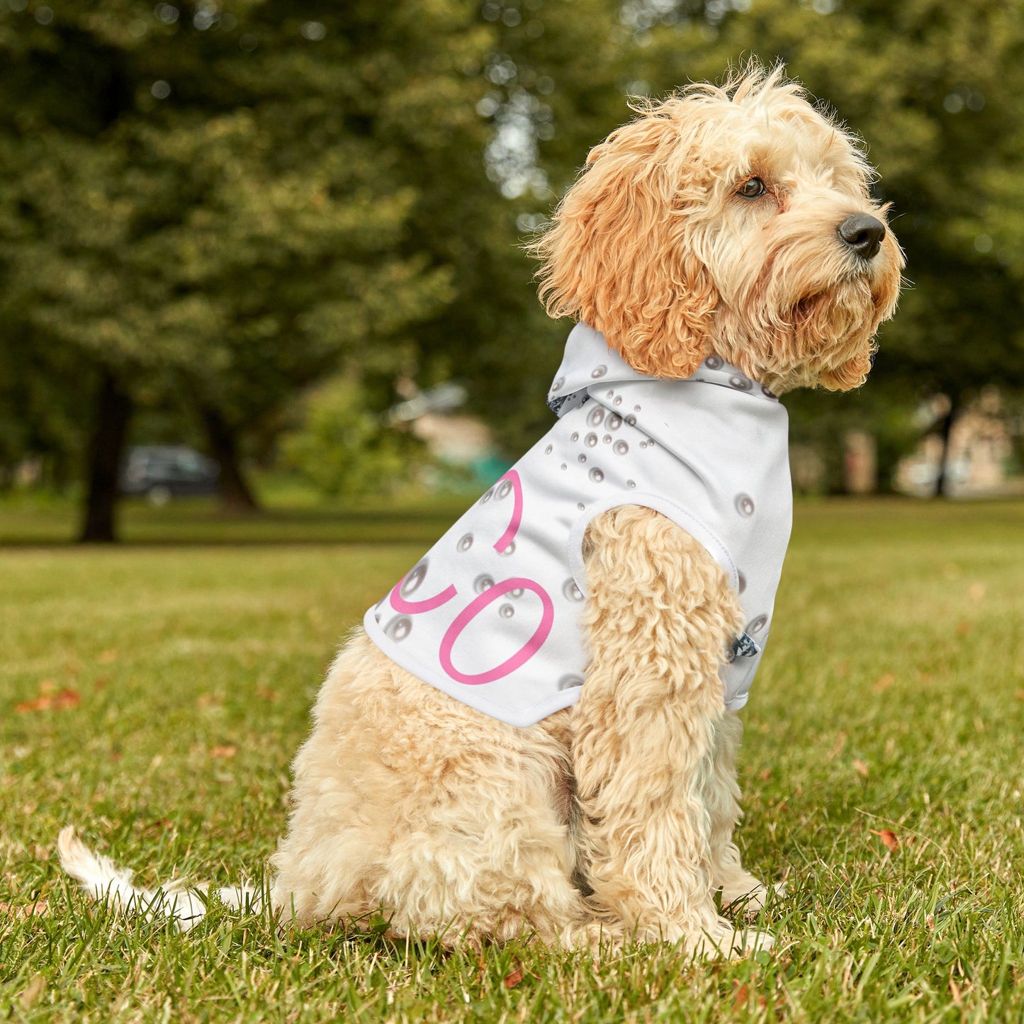 Pet Hoodie | Diamonds & Pearls Custom Pet Name