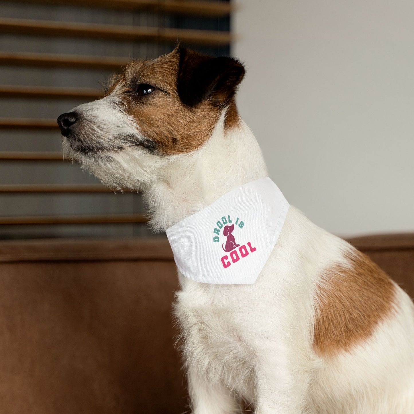 Pet Bandana Collar | Drool Is Cool