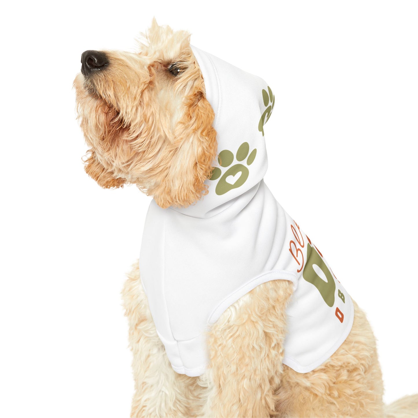 Pet Hoodie | Blessed DOG Obsessed