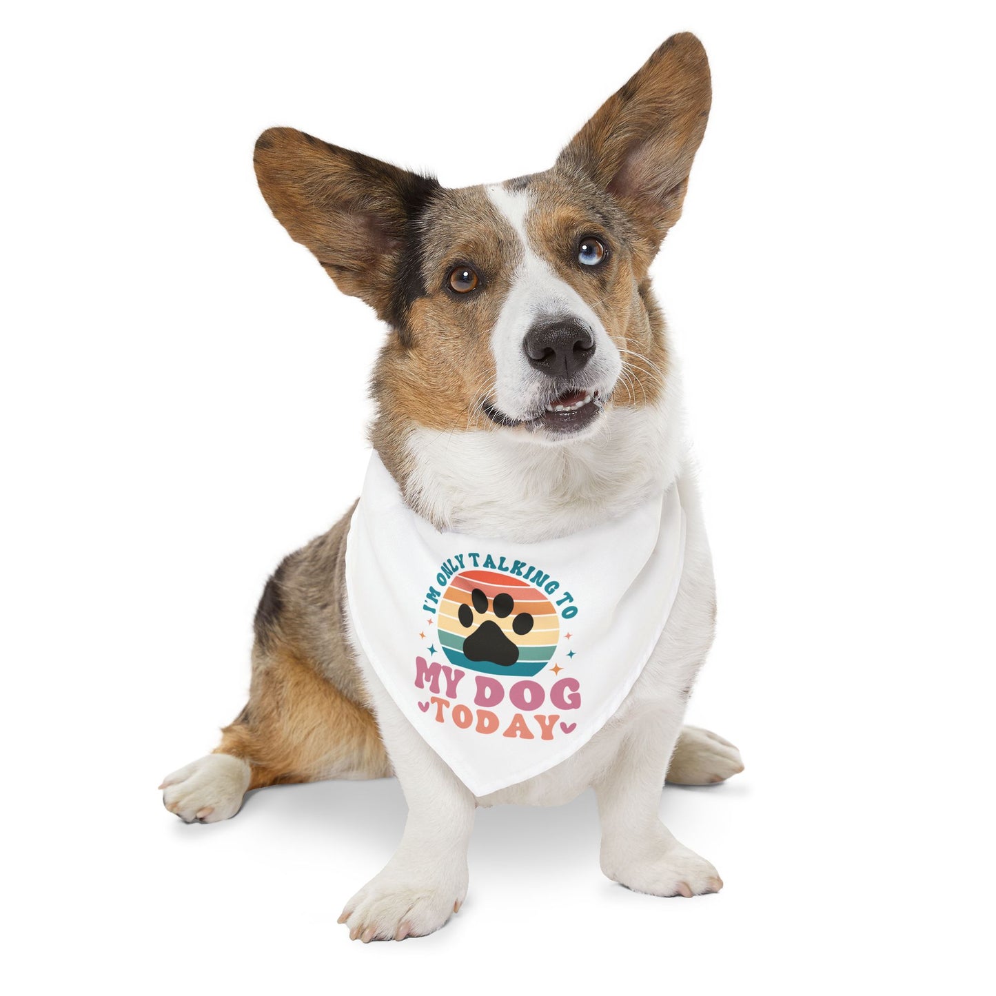 Pet Bandana Collar | I'M ONLY TALKING TO MY DOG TODAY
