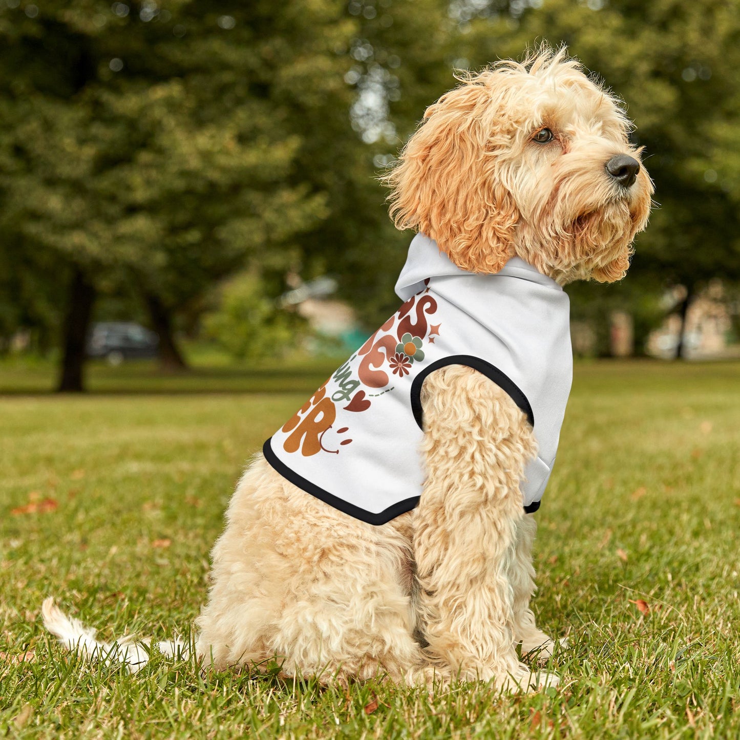 Pet Hoodie | Dogs Make Everything Better