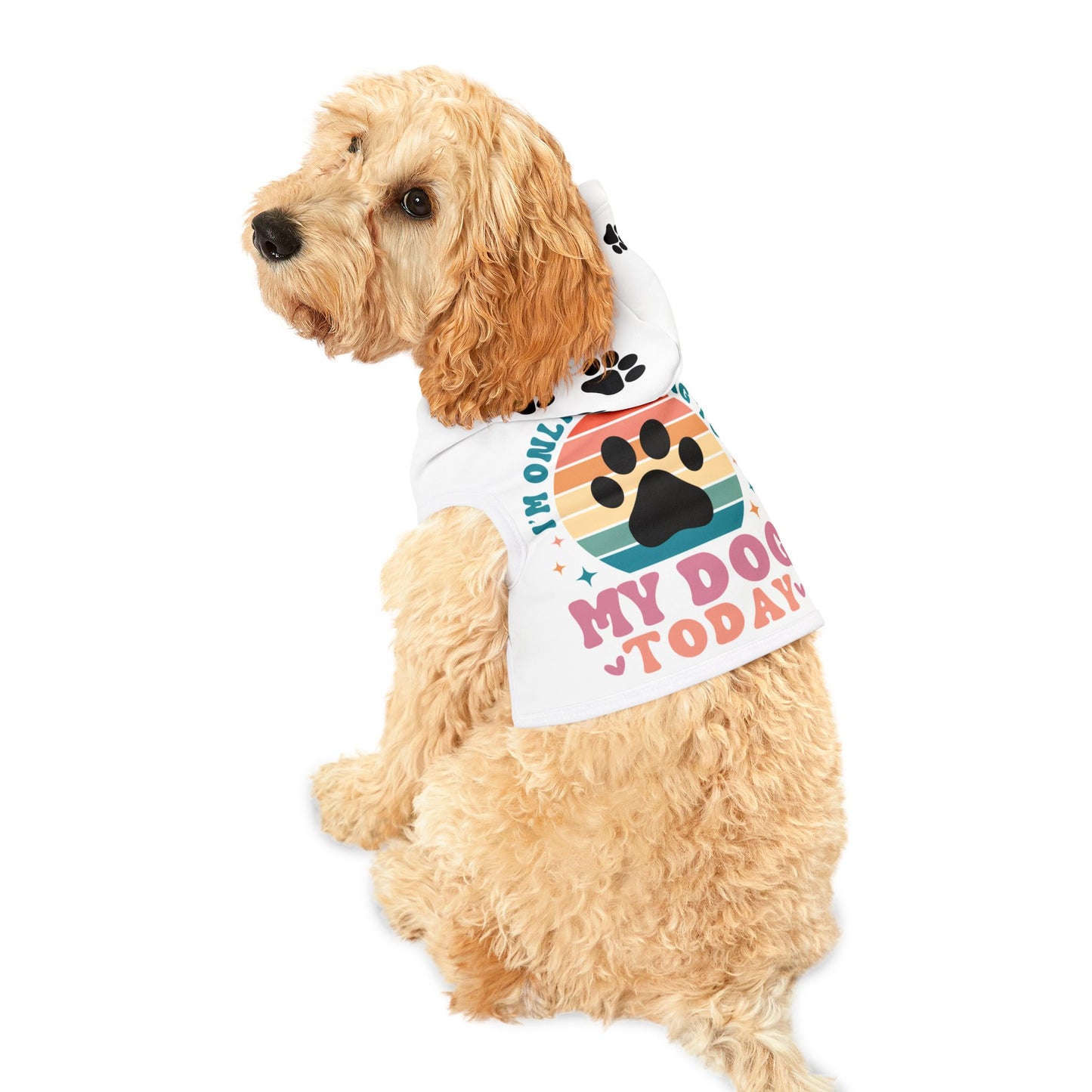 Pet Hoodie | I'M ONLY TALKING TO MY DOG TODAY
