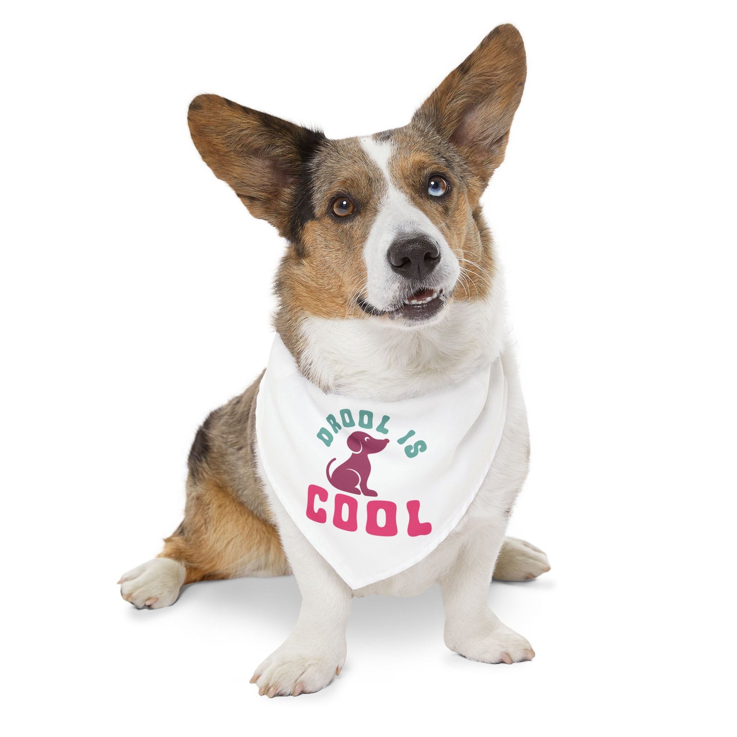 Pet Bandana Collar | Drool Is Cool