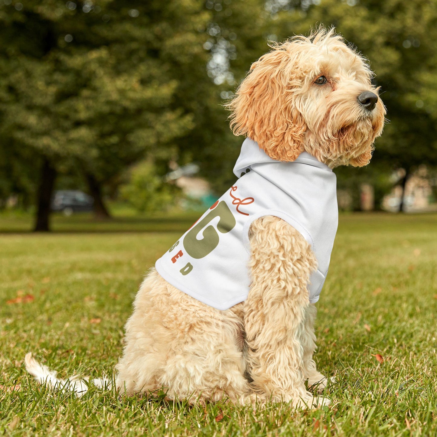 Pet Hoodie | Blessed DOG Obsessed