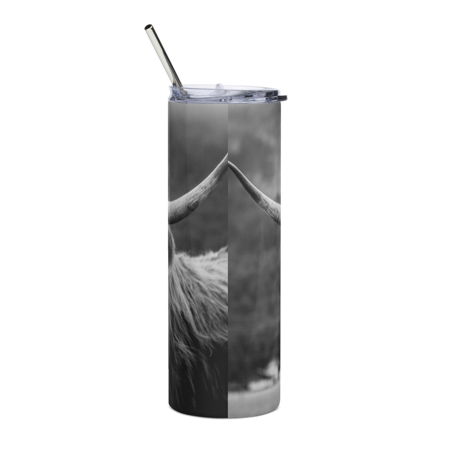 Stainless Steel Tumbler |