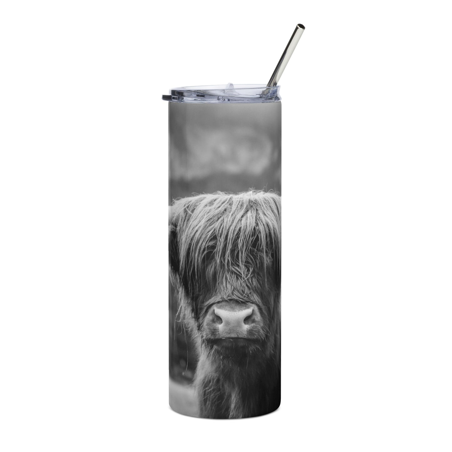 Stainless Steel Tumbler |