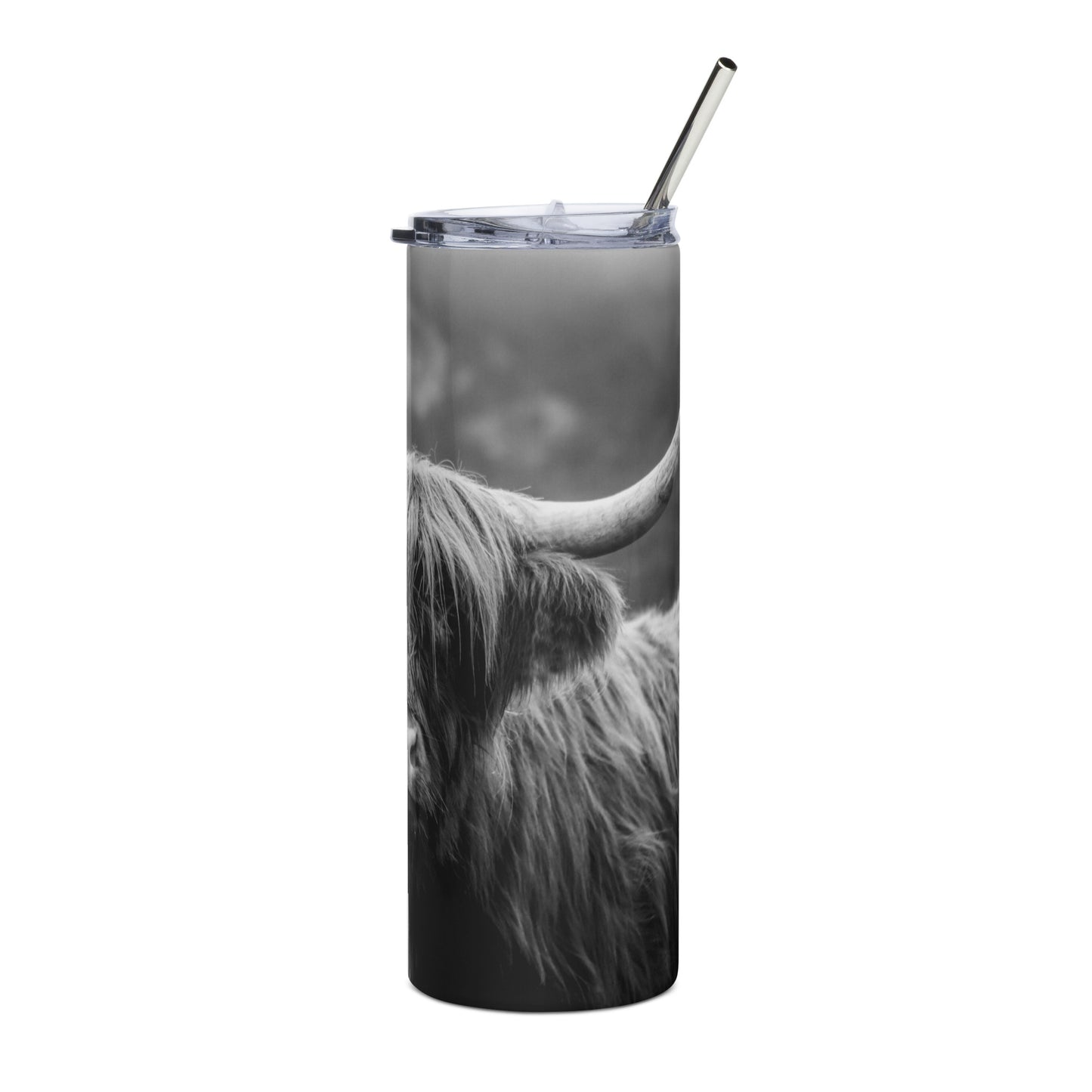 Stainless Steel Tumbler |